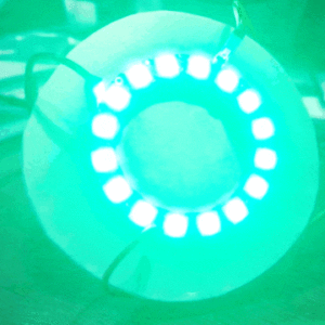 Neopixel Timer with Real Time Wireless Control