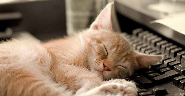 FreeRTOS: ESP32 Deep Sleep